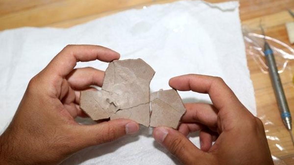 8,5 milyon yıllık deve kuşu yumurtası bulundu