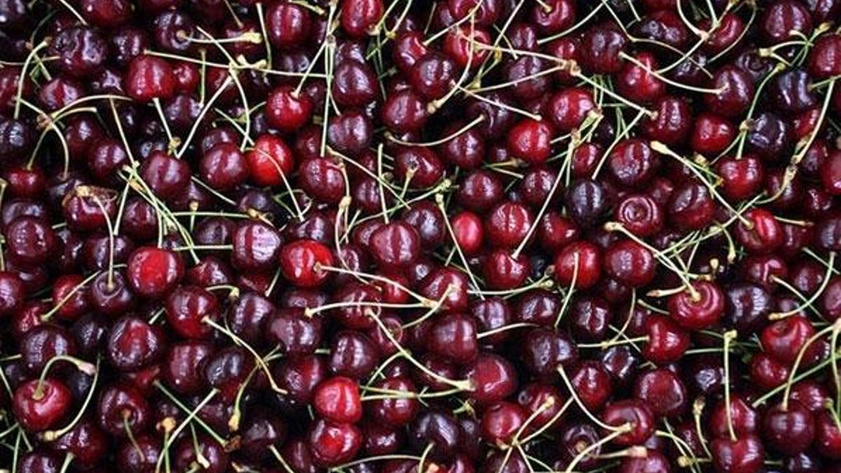 Türkiye'den Çin'e 3,3 milyon dolarlık kiraz ihracatı