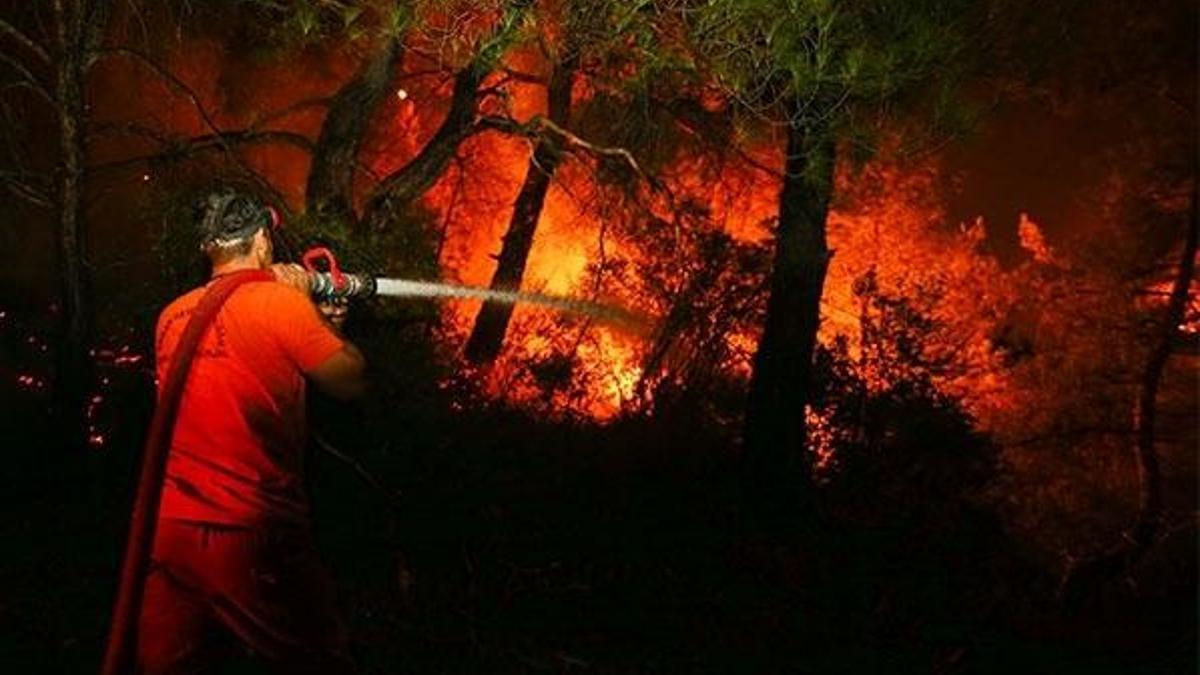Bakan Pakdemirli'den son dakika yangın açıklaması