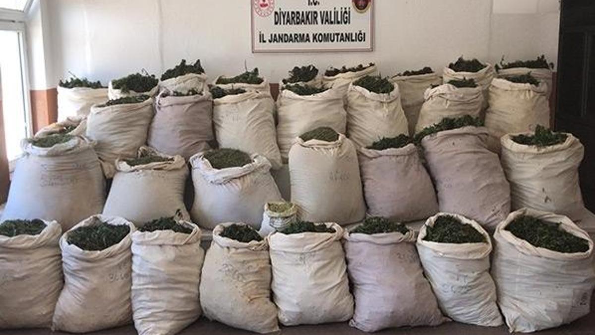 Lice'deki terör operasyonunda 974 kilo esrar ele geçirildi