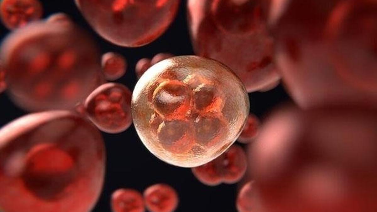Sık görülen beş kanserin erken işaretleri