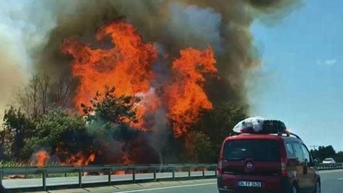 Tekirdağ-İstanbul yolunda korkutan yangın!