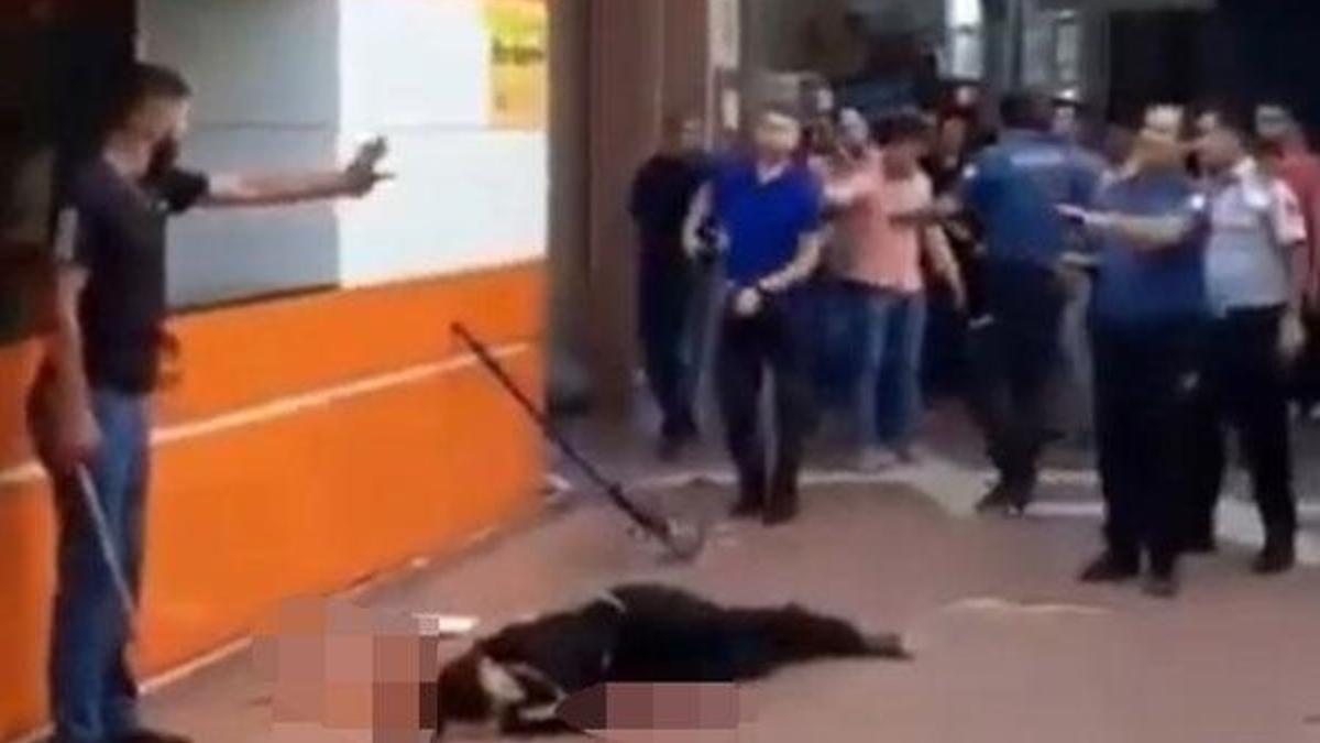 Dehşet! Defalarca bıçakladıktan sonra kimseyi yaklaştırmadılar