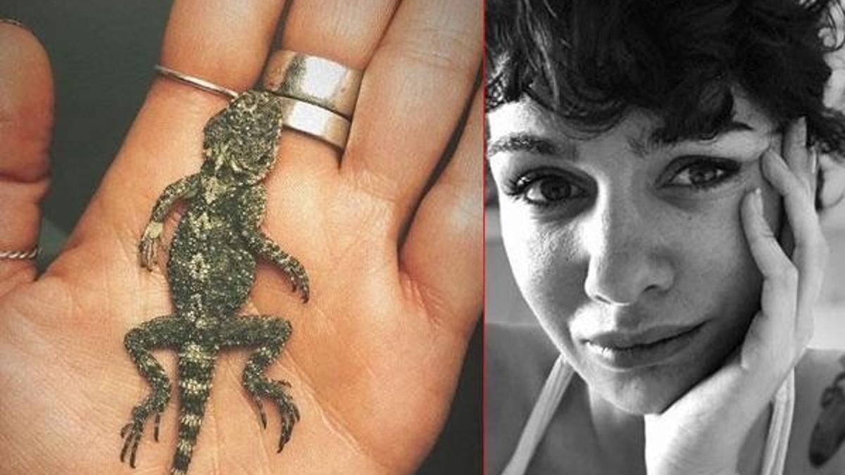 Birce Akalay özür diledi: Kapımda ölü buldum!