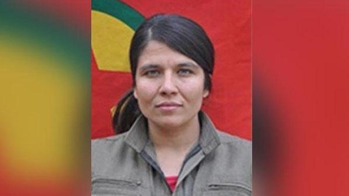 Öldürülen terörist o saldırının faili çıktı