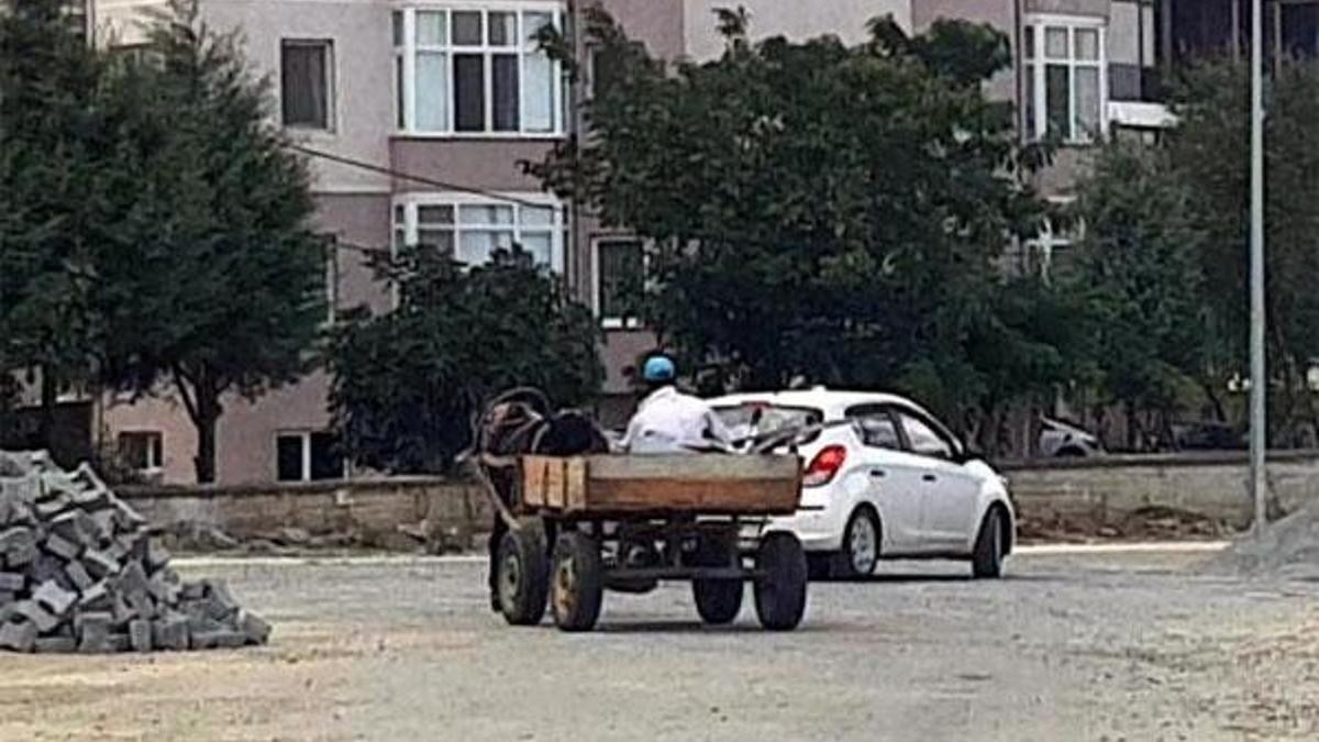 Söktüğü trafik levhalarını at arabasıyla götürürken yakalandı