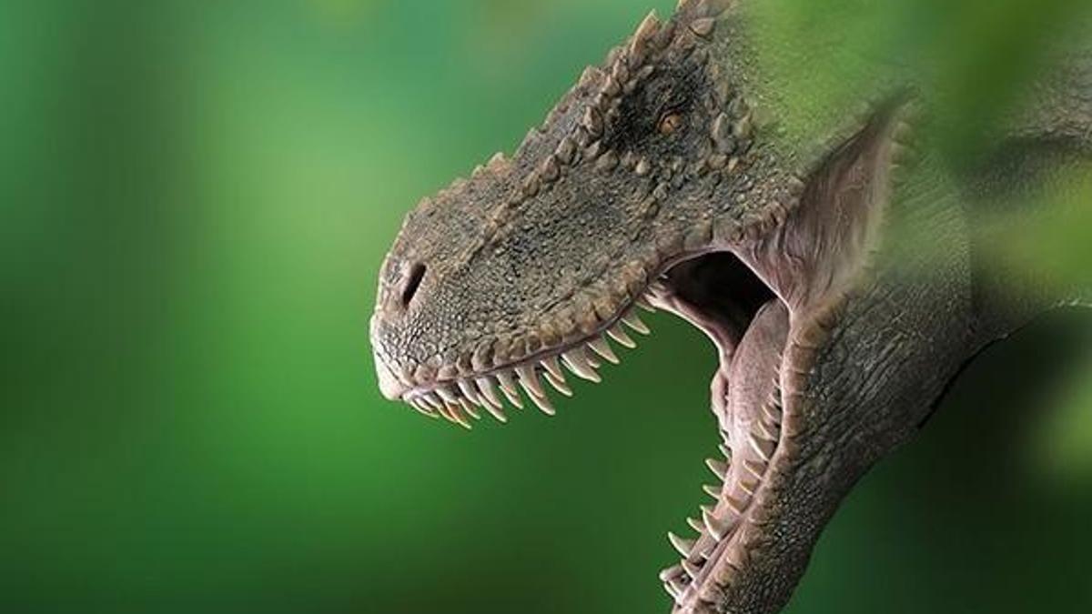 T-Rex'lerin kafataslarında klima işlevi gören delikler keşfedildi