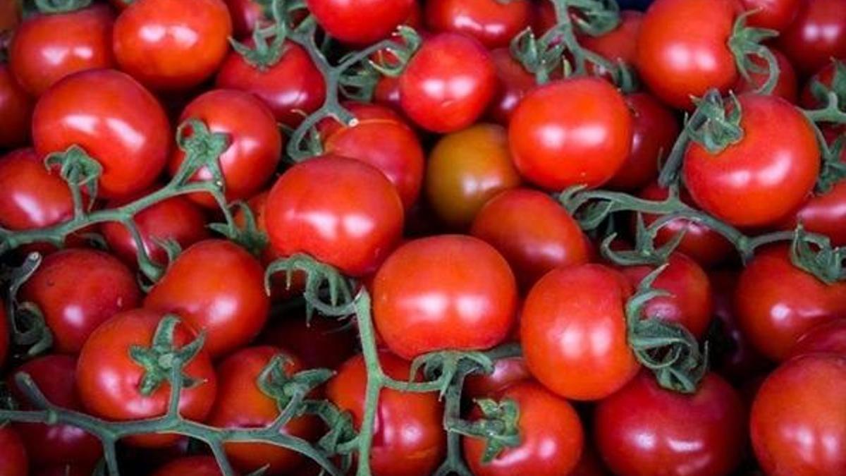 Yaş meyve ve sebze ihracatına "kötü hava" freni