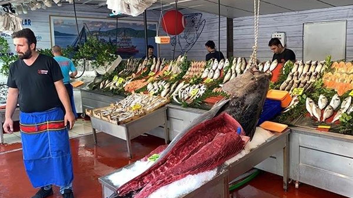 Görenleri hayrete düşürdü! Sıraya girdiler