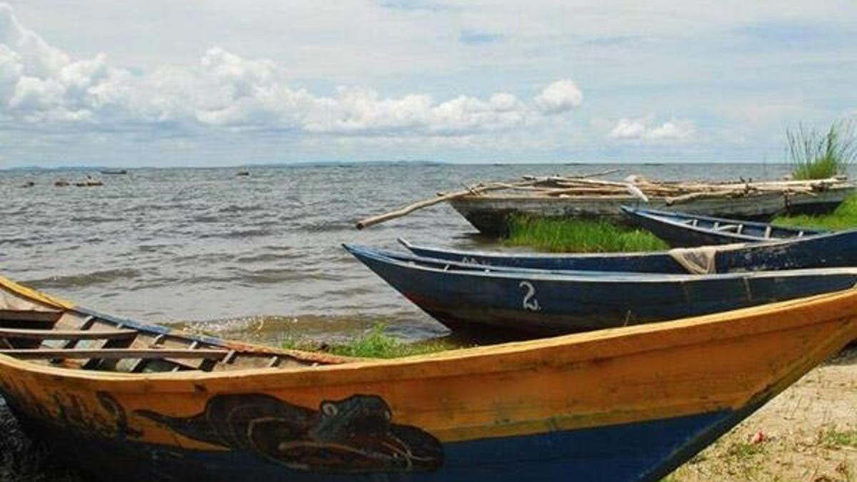 Senegal'de kano batı: 4 ölü