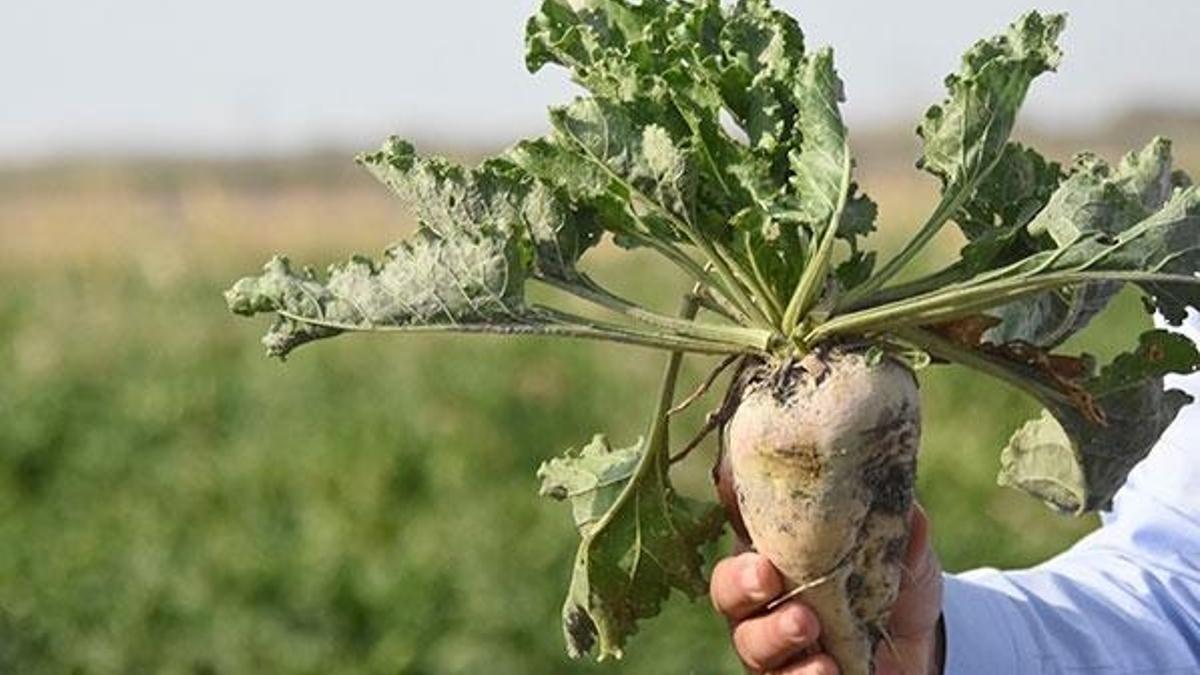 Ve açıklandı! Cumhuriyet tarihinin rekoru kırıldı