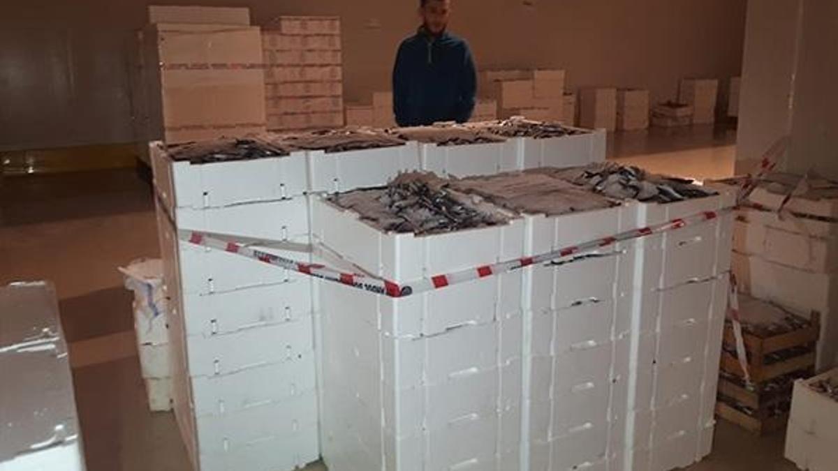 Boy denetimine takılan 2 ton balığa el konuldu