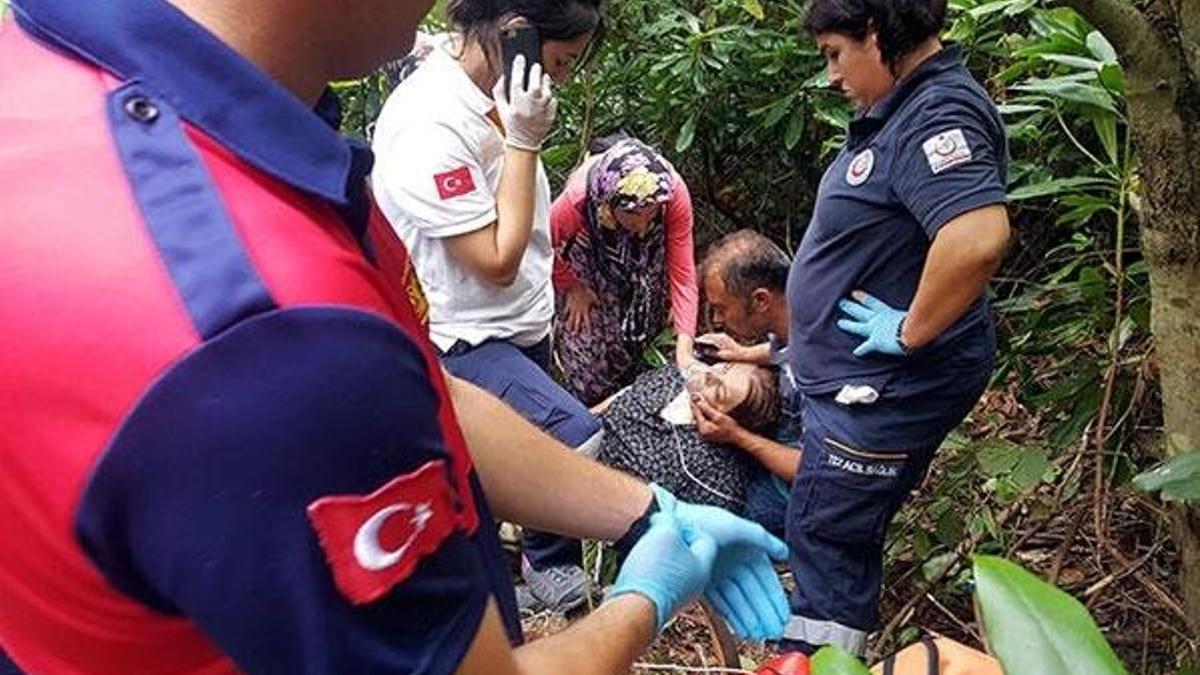 Kestane topluyordu... Saniyeler içinde bu hale getirdi!