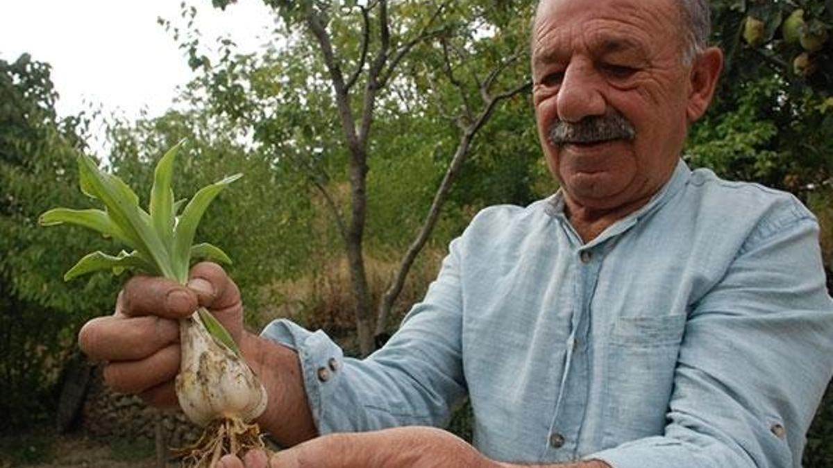 Çiçeği ayrı soğanı ayrı para ediyor!