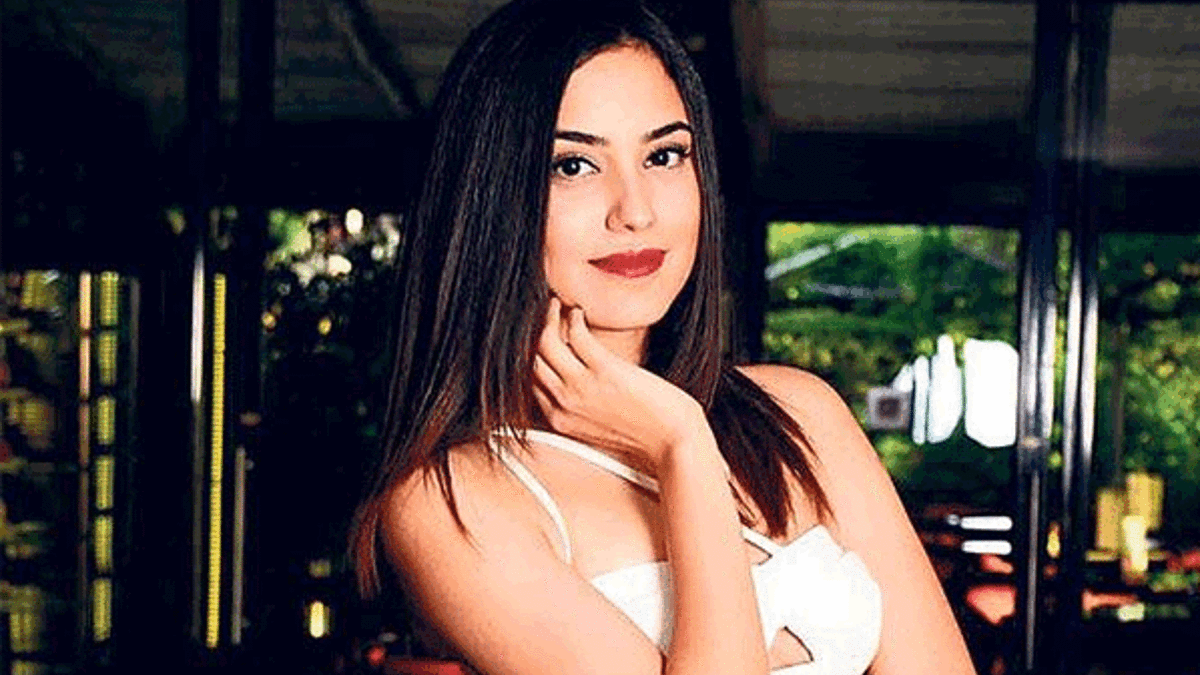 Bebeğini Amerika'da doğuracak