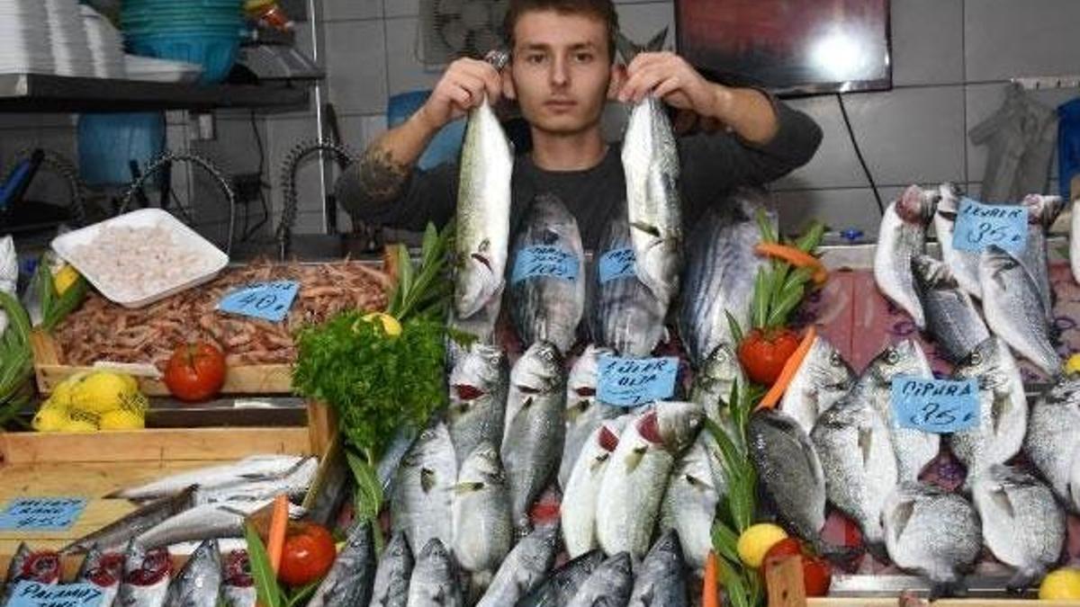'Denizlerin Prensi'nin fiyatı altın ile yarışıyor