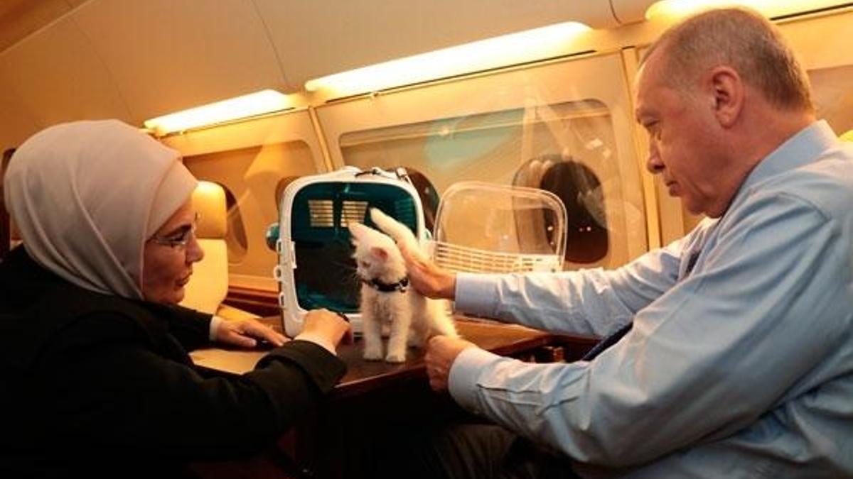 Emine Erdoğan'dan 'Hayvanları Koruma Günü' paylaşımı