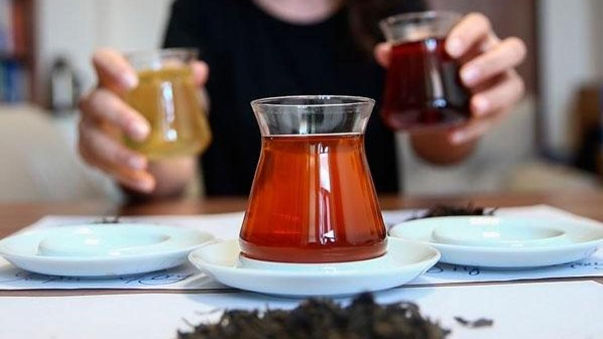 Türkiye'de ilk kez oolong çayı üretildi