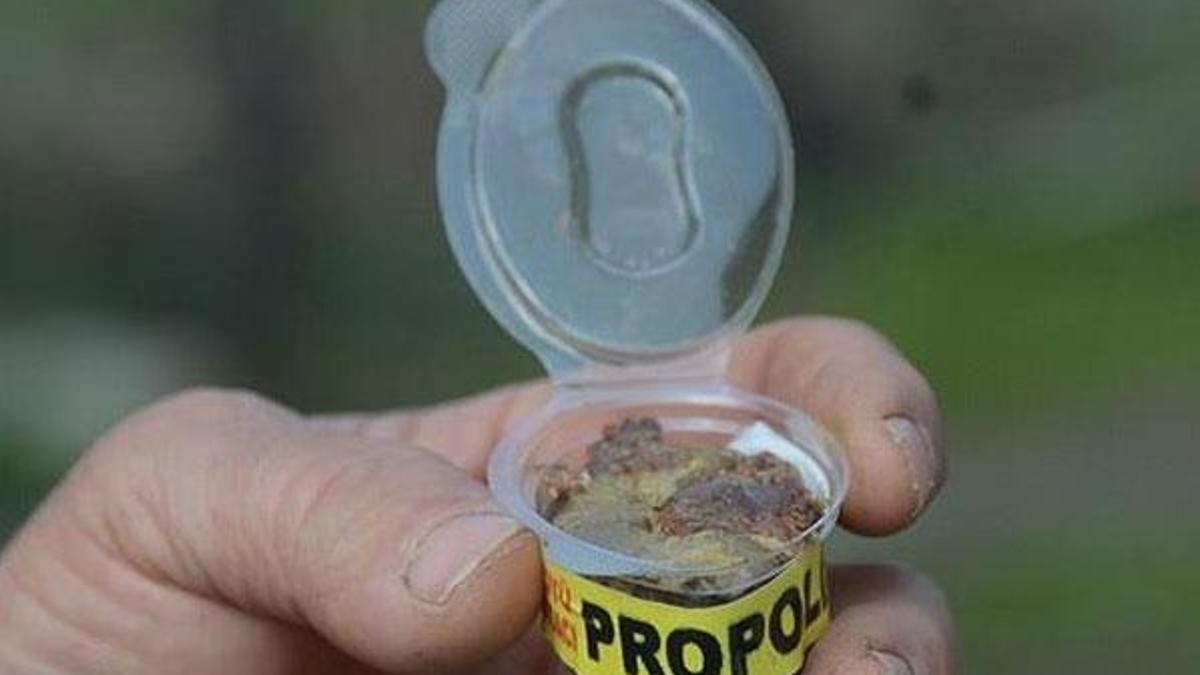 Piyasadaki propolisin yüzde 90'ı sahte!