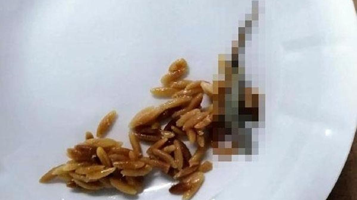 Hastanede skandal! Yemekten kertenkele çıktı