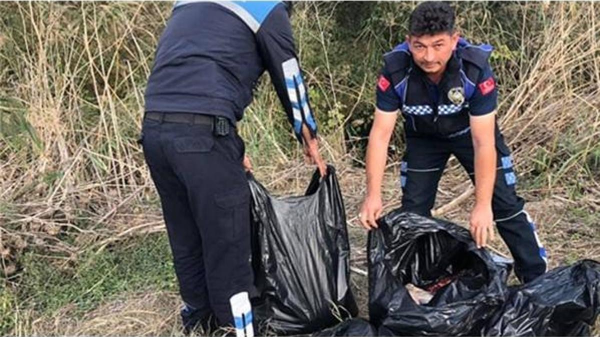 Korkunç olay! Torbalardan çıktı...