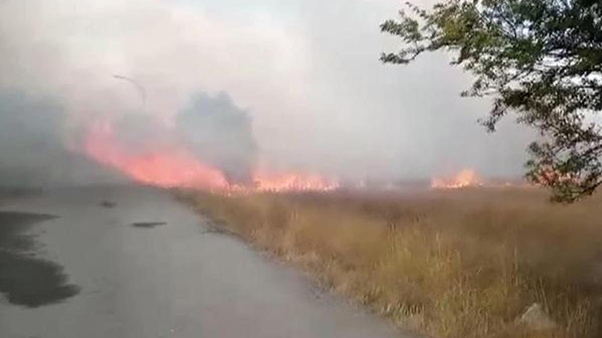 İstanbul'daki orman yangınları ile ilgili yeni gelişme!