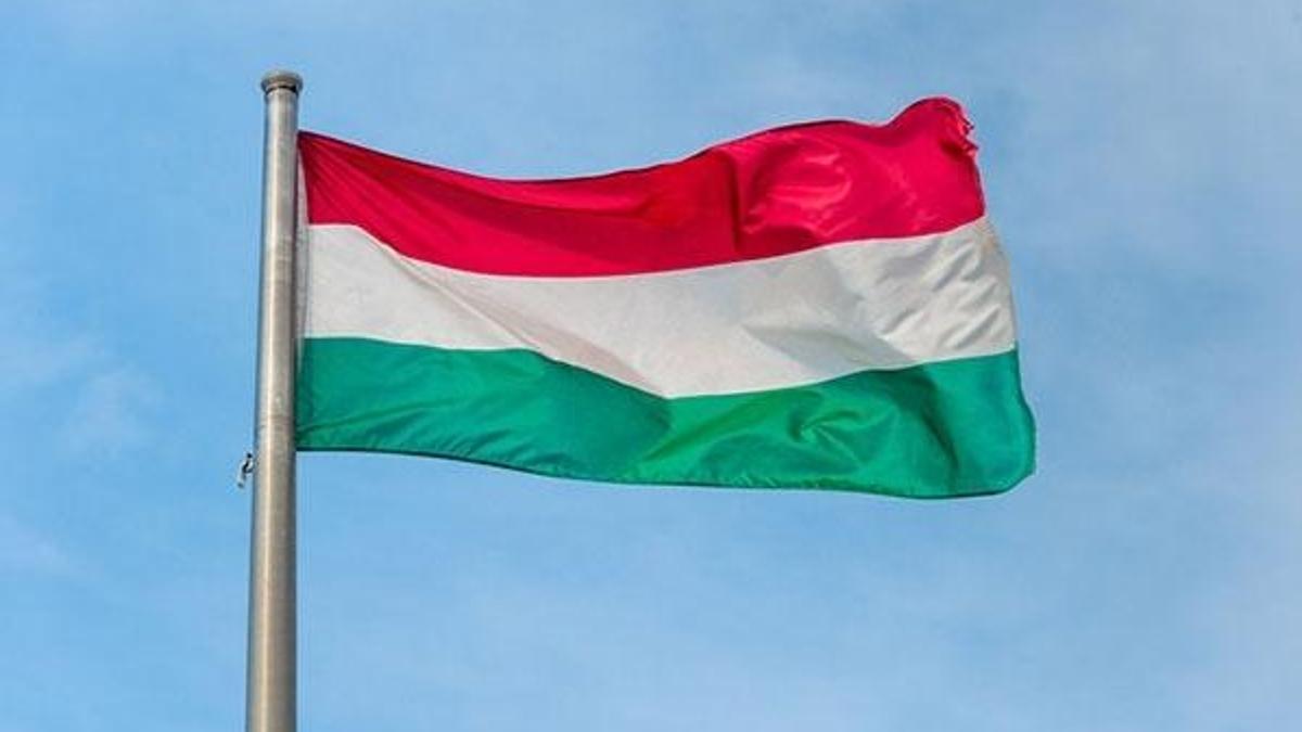 Macaristan, Suriye'de güvenli bölge konusunda Türkiye ile iş birliği yapacak