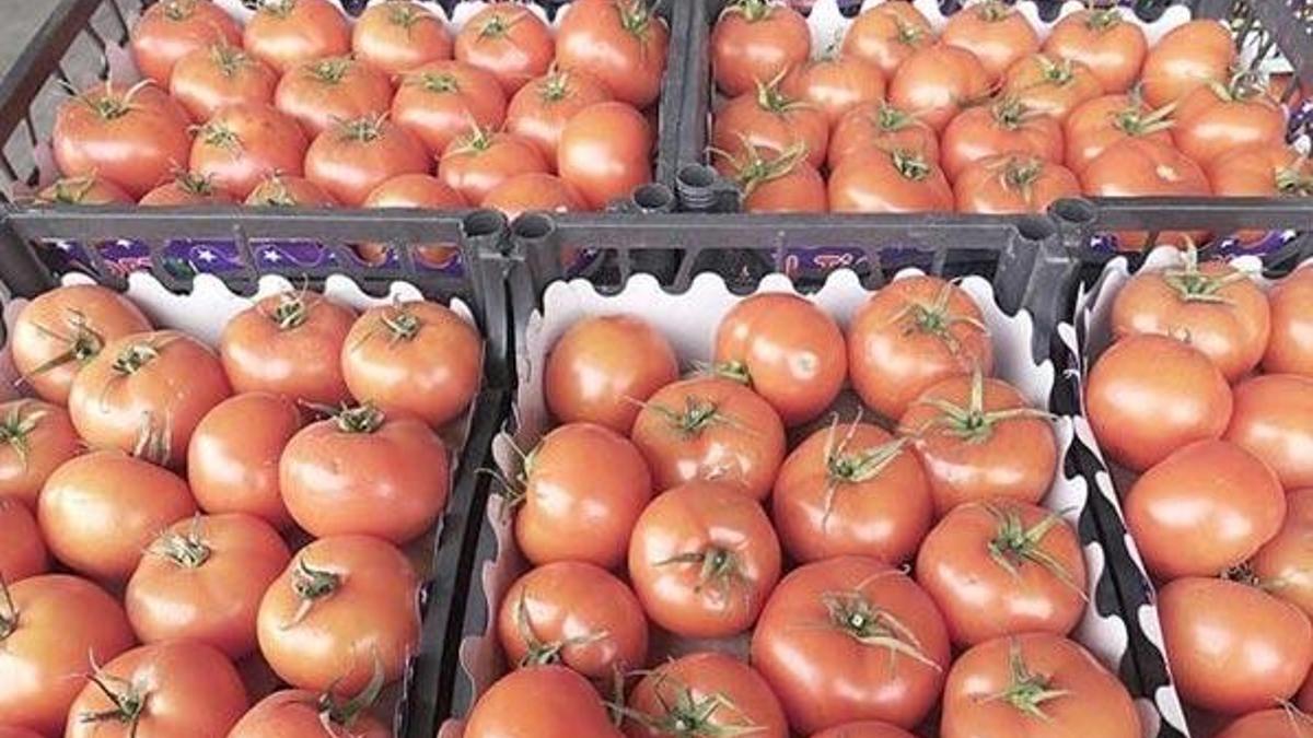 9 ayda 2,2 milyon ton yaş sebze meyve ihraç edildi