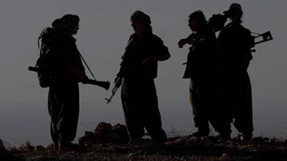 Mardin'de 3 PKK'lı terörist etkisiz hale getirildi