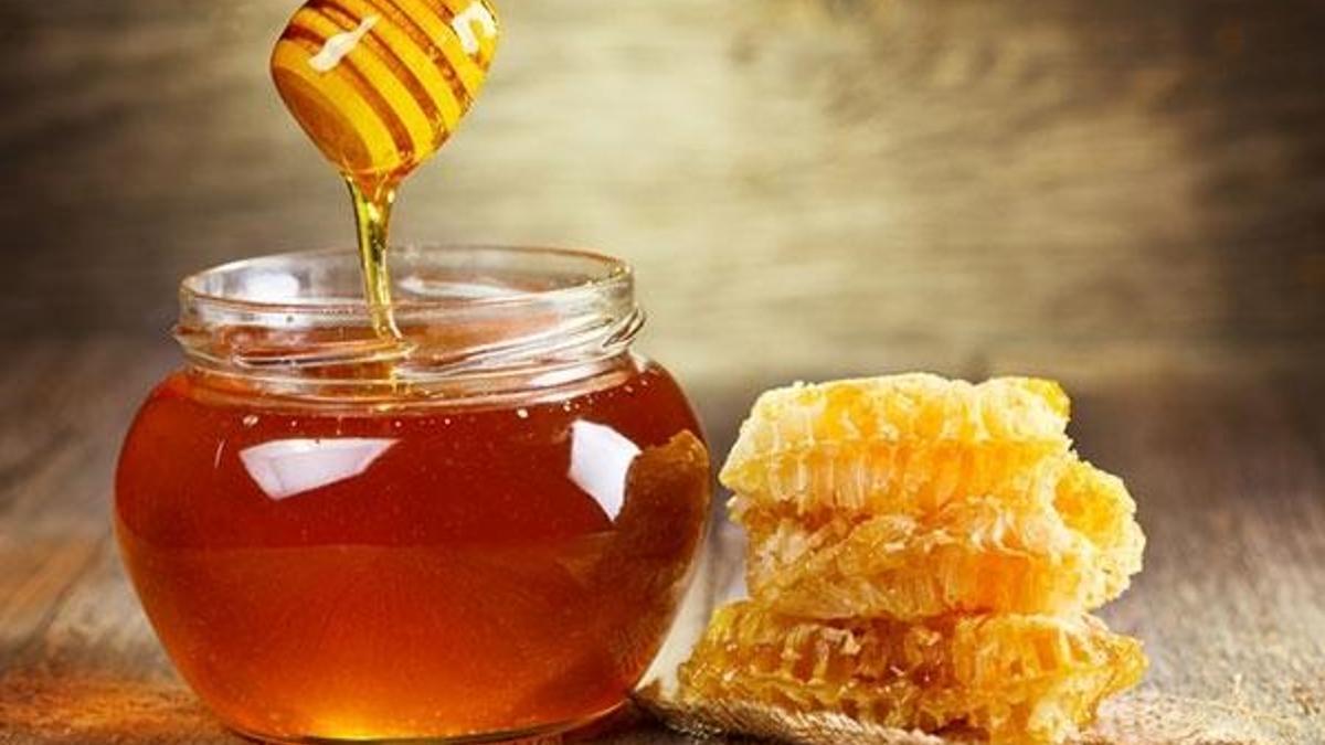 TKDK desteğiyle yola çıktı balda dünya birincisi oldu