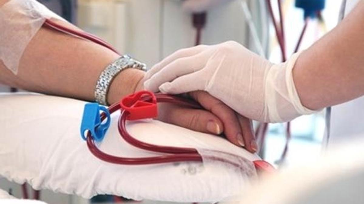Her 100 aileden 27'si organları bağışlıyor