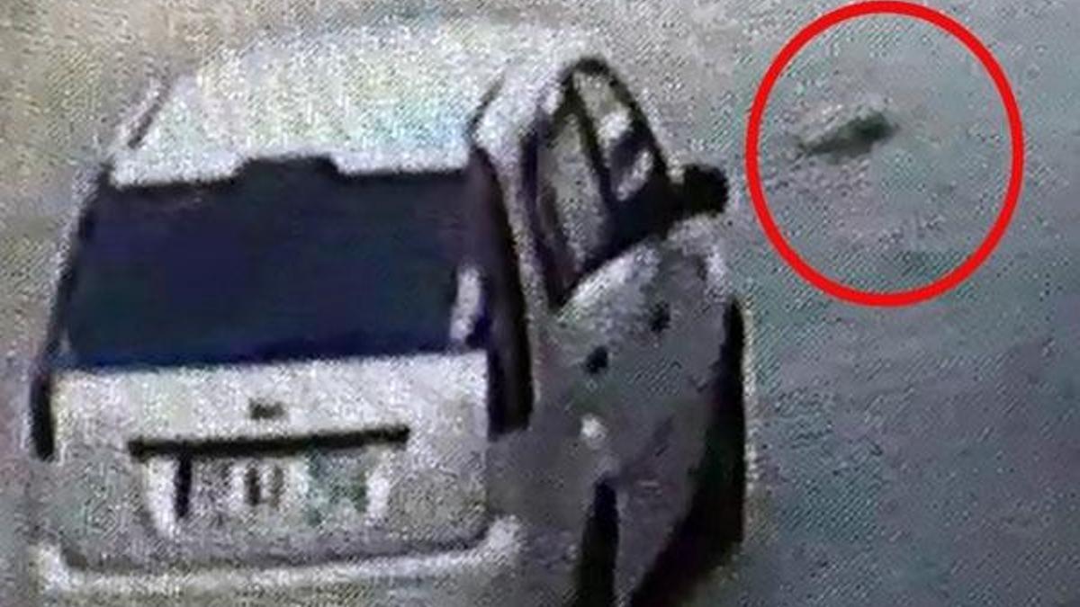Büyük vicdansızlık! Yolun ortasında yatan köpeği ezen sürücü kaçtı