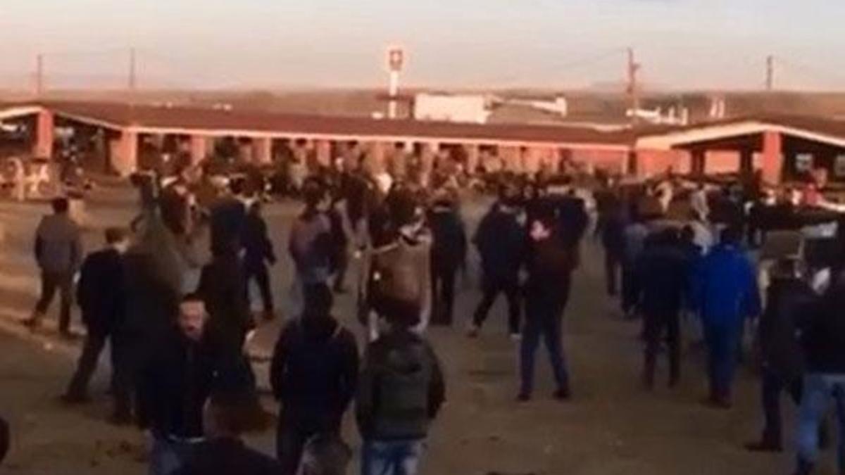 Ağrı'da, hayvan pazarında taşlı sopalı kavga