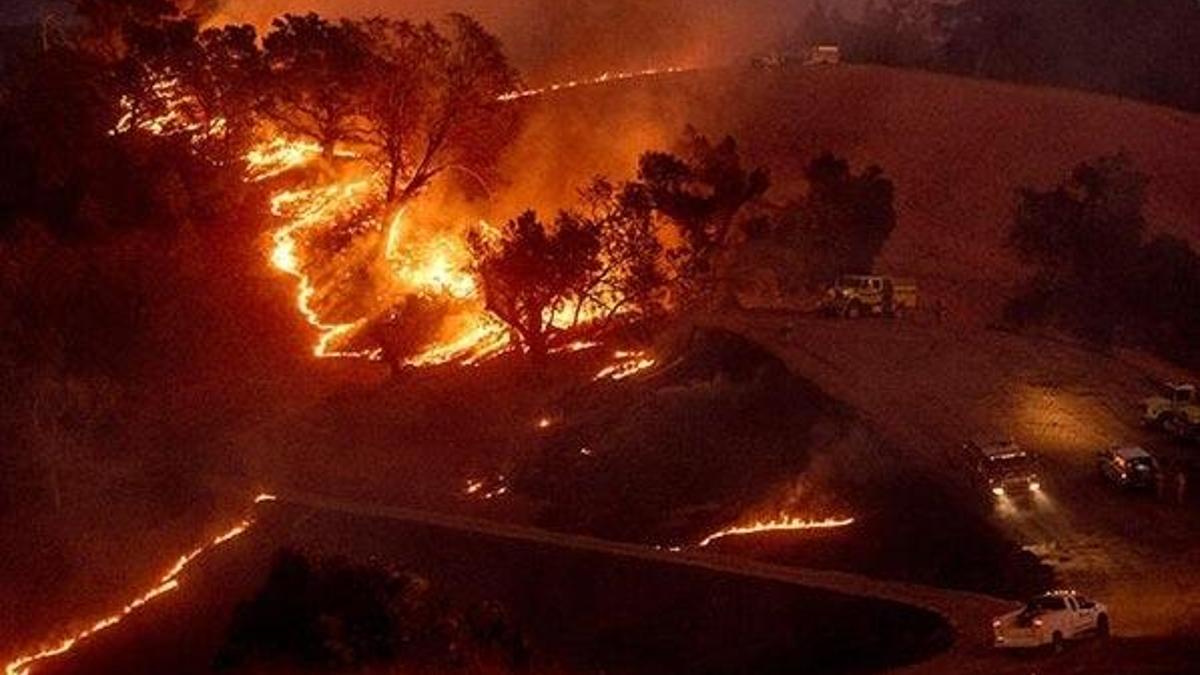 ABD'de orman yangını! 90 bin kişi tahliye edilecek