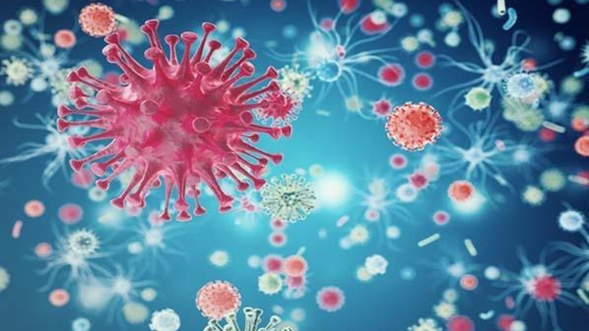 Veba hastalığı nedir? Tedavisi mümkün mü?