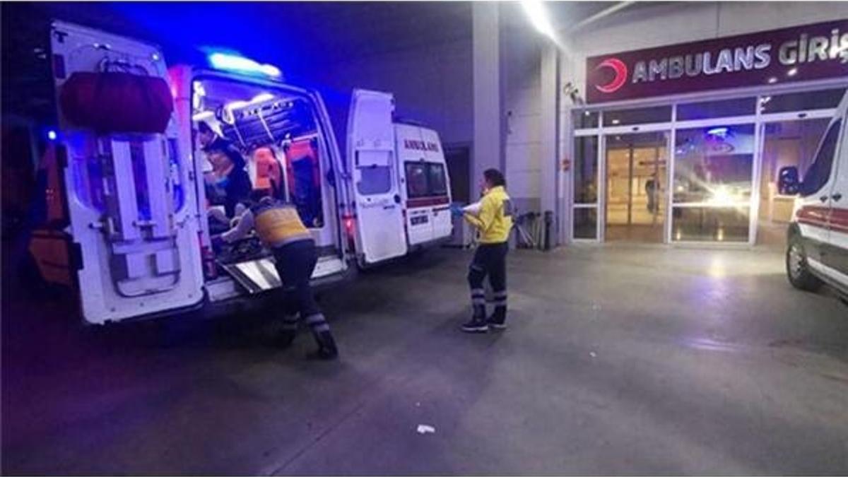 Dağdan topladılar, zehirlendiler