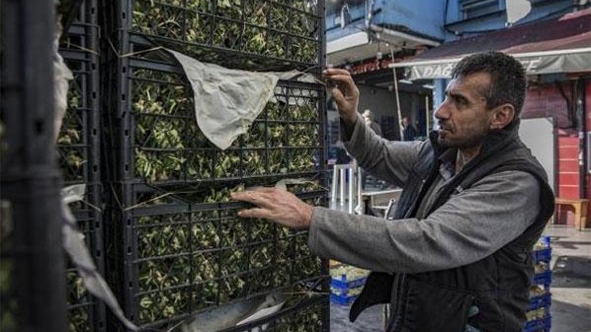 Bayrampaşa'daki toptancı; Bugün bir kilo bile ıspanak satılmadı