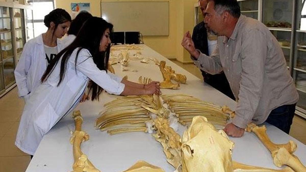 Kırşehir'de bulundu! Dünya literatürüne kazandırılacak