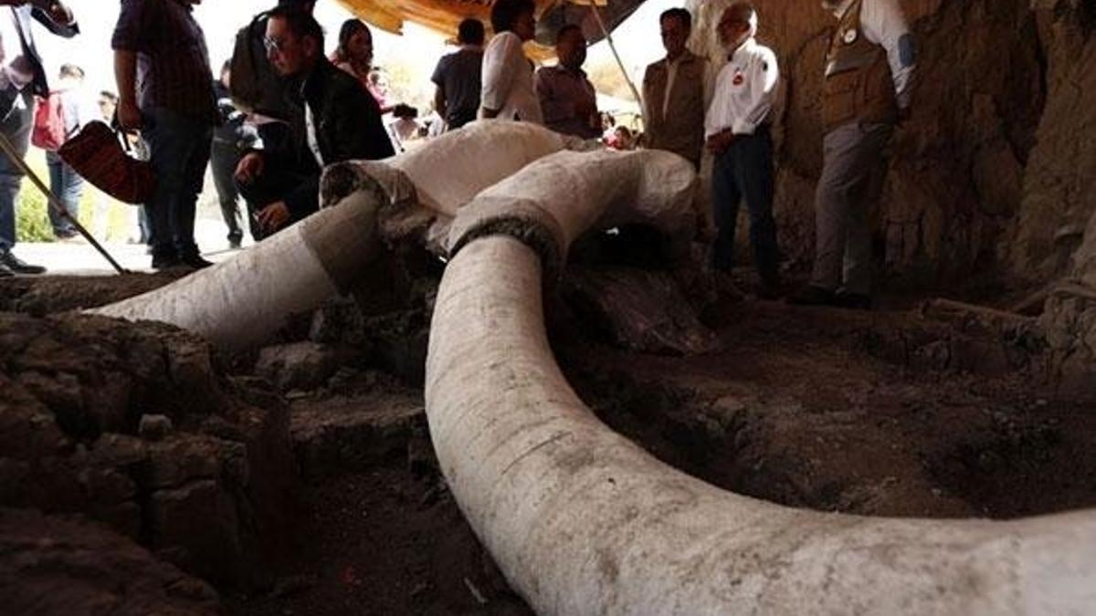 15 bin yıllık mamut tuzakları bulundu