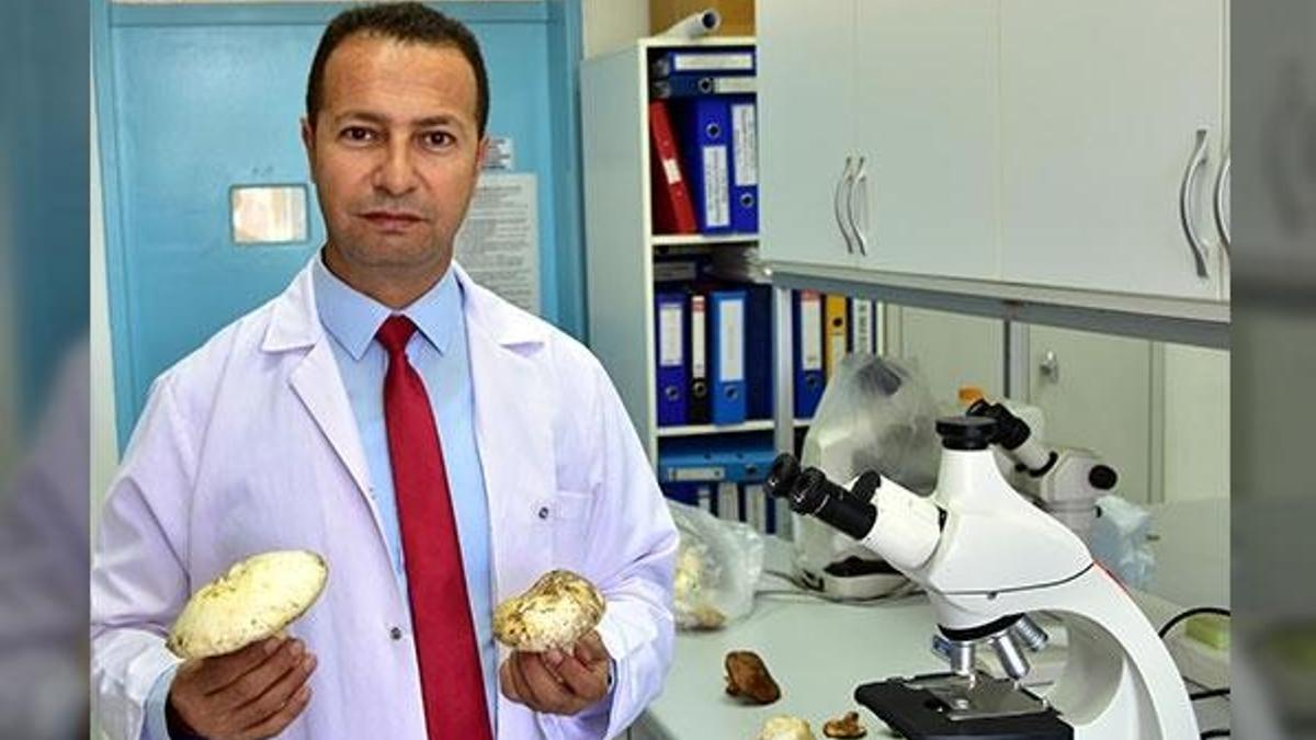 Dünyanın en zehirli mantarını yemişler! Kızı öldü, anne 18 gündür yaşam savaşı veriyor