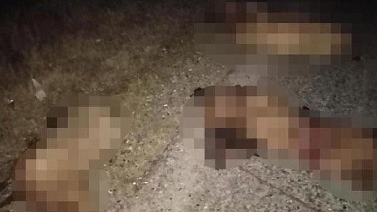 Minibüs sürüye daldı! 30 koyun telef oldu