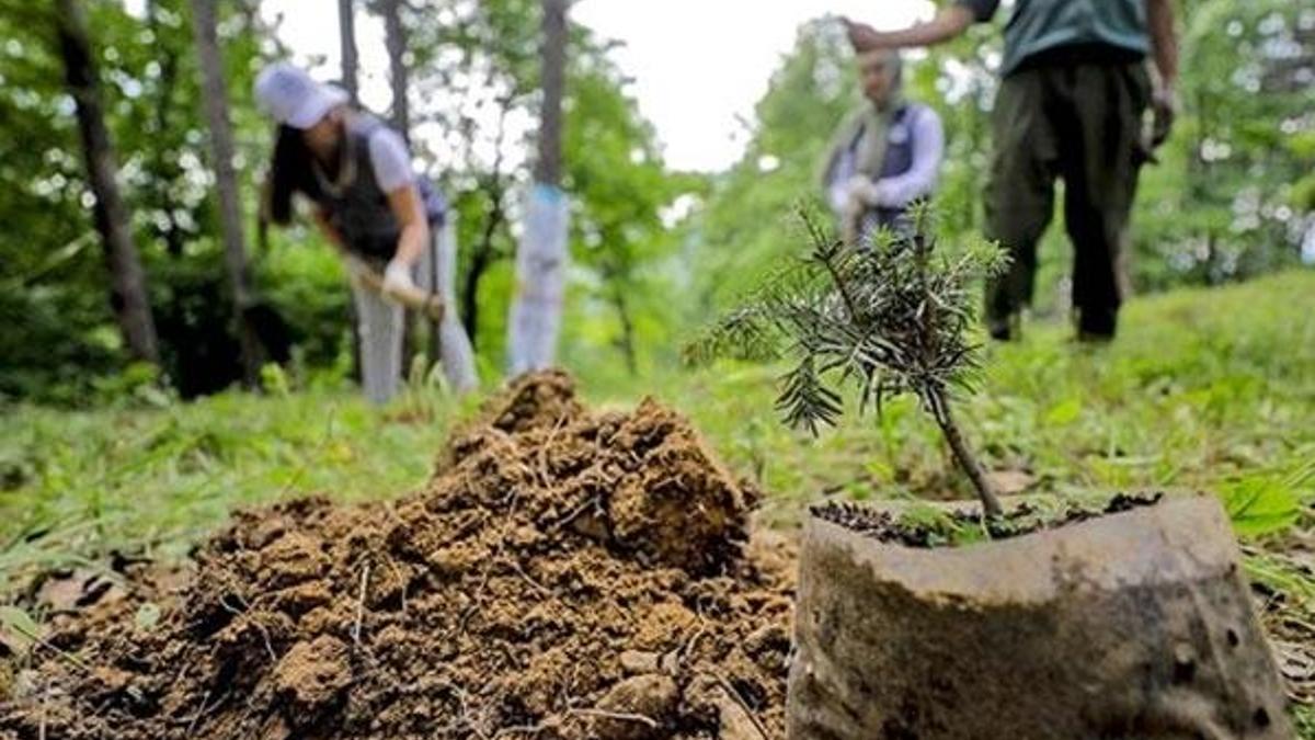 Geleceğe Nefes Kampanyası bugün başlıyor!