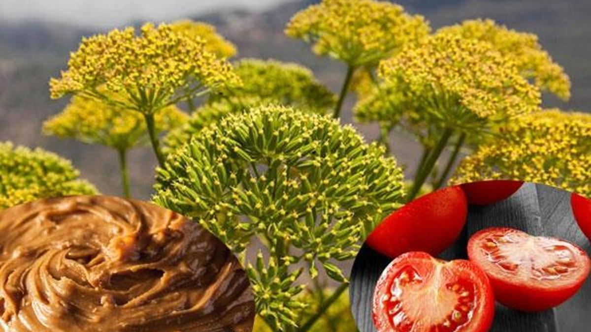 Sperm kalitesini artıran besinler ve bitkiler