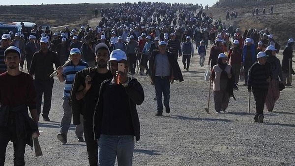 Çorum, 'fidan dikme etkinliğinde' dünya rekoru kırdı