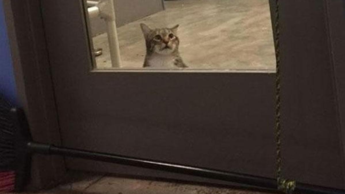 İşlediği suç yüzünden tecrit odasına konuldu