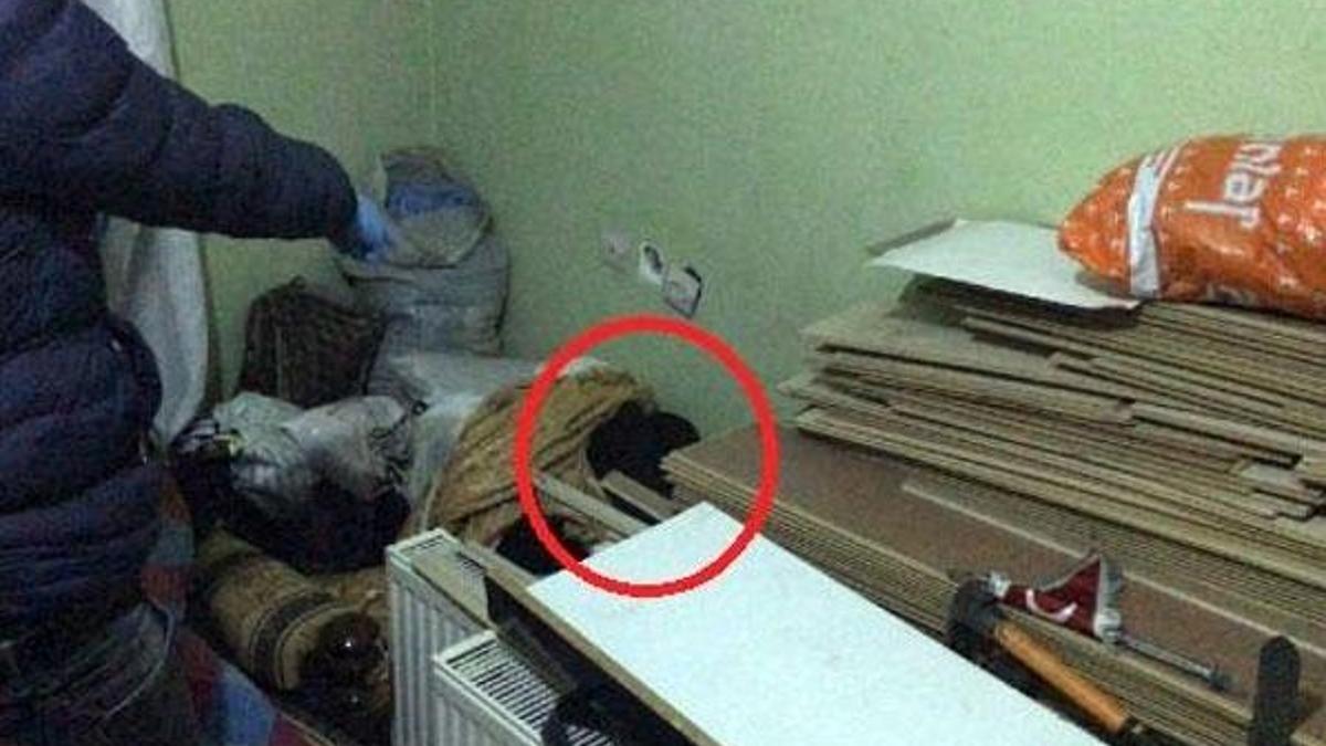 Domuz bağı cinayetinde yeni gelişme...