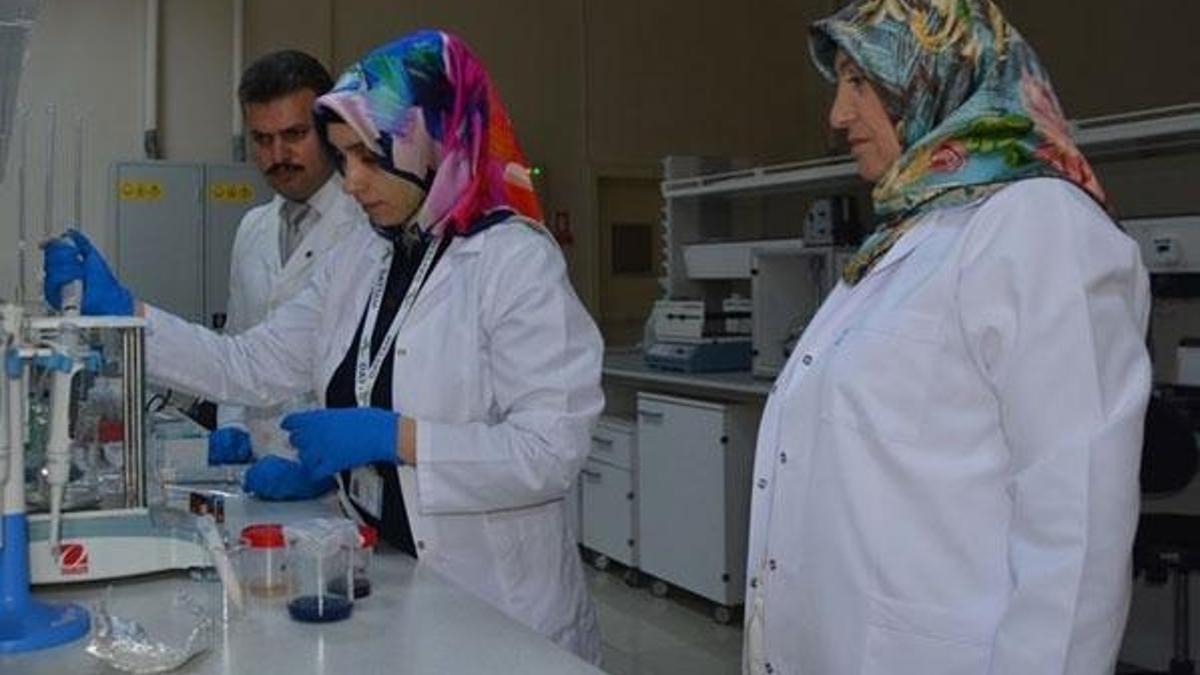 Çaşırdan krem üretilecek