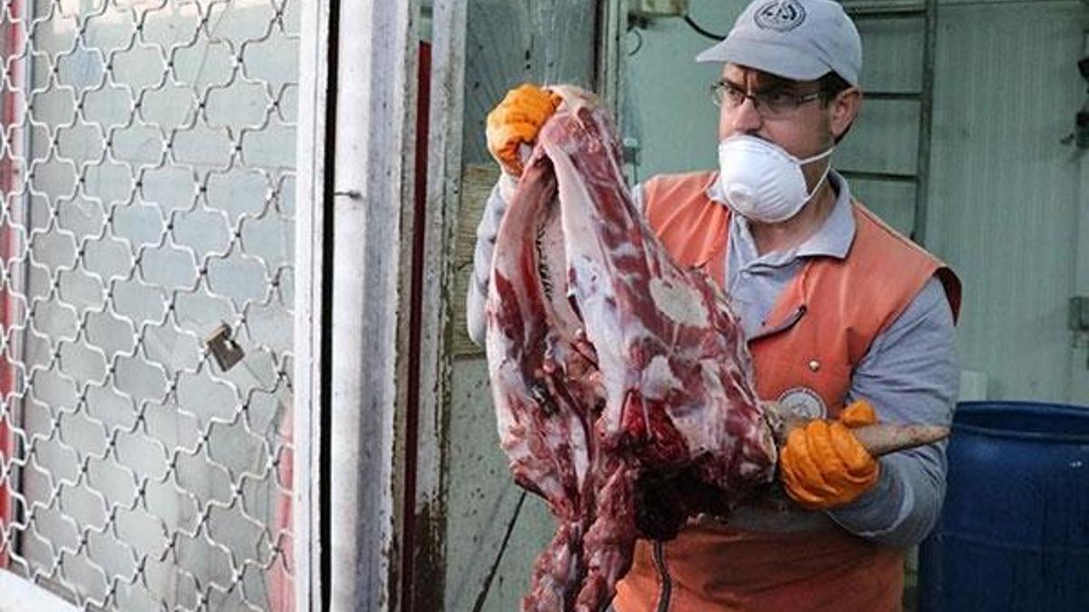 20 ton kaçak et ve sakatat ele geçirildi