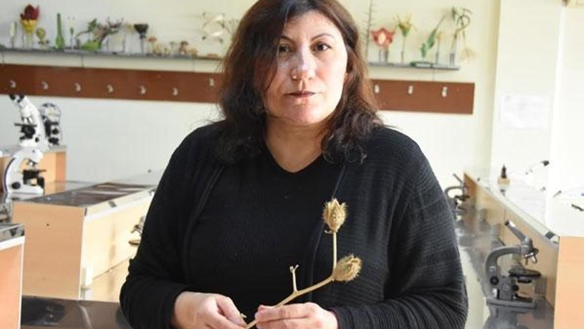Sakın yemeyin! Zehirliyor