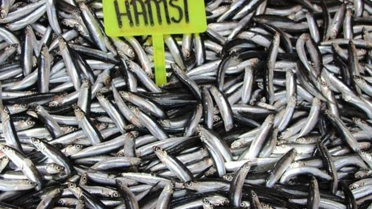 Hamsinin bol ve ucuz olması onları olumsuz etkiliyor!
